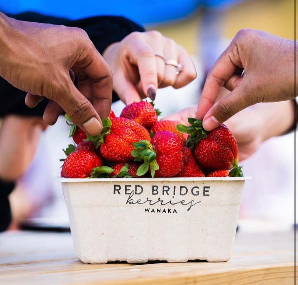 Fresh strawberries in a cardboard punnet fromRedbridge Berries near Wānaka.