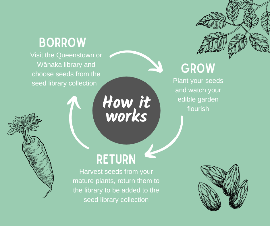 A description of the Wānaka Seed Library - an alternative to grocery shopping in Wānaka.