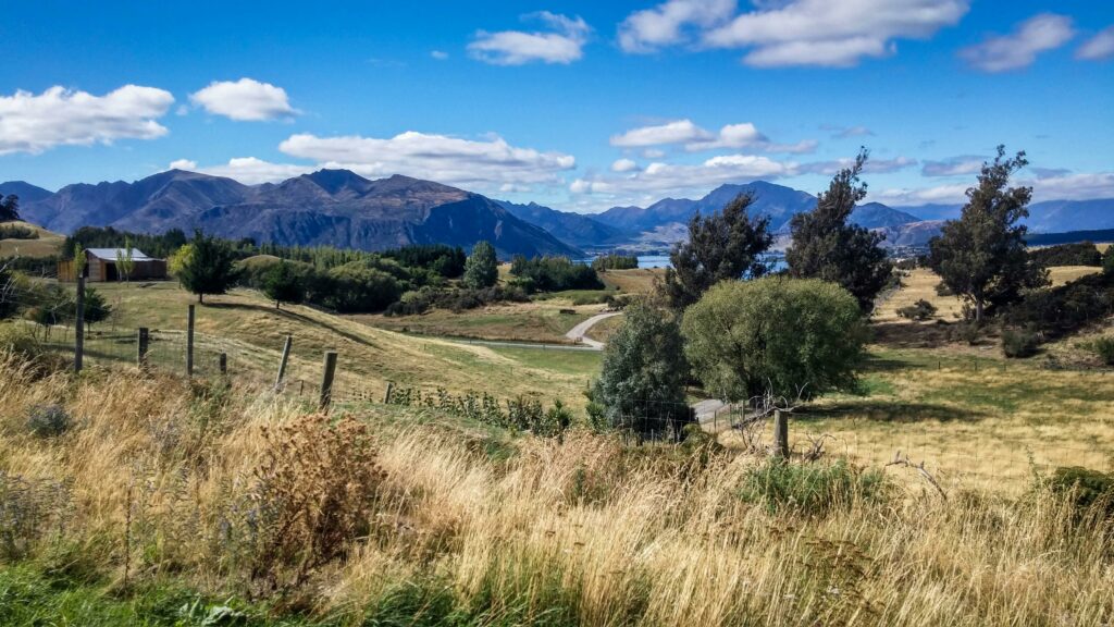 A grassy hike with lake views - one of the low impact things to do in Wanaka.