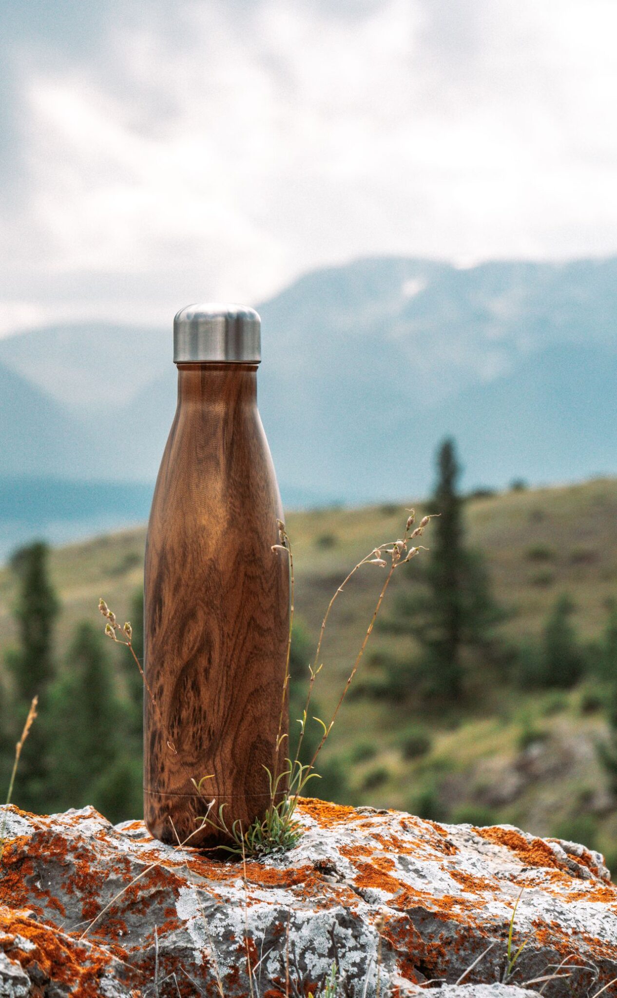 A water bottle by the mountains.