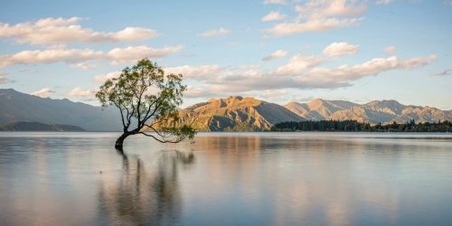 Out And About In Wanaka Reducing Single Use