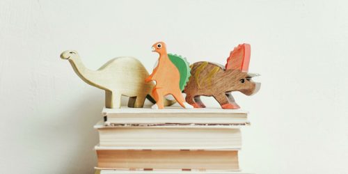 Where To Buy Toys & Baby Items In Wanaka